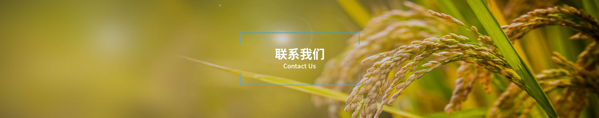 联系巨星国际官网