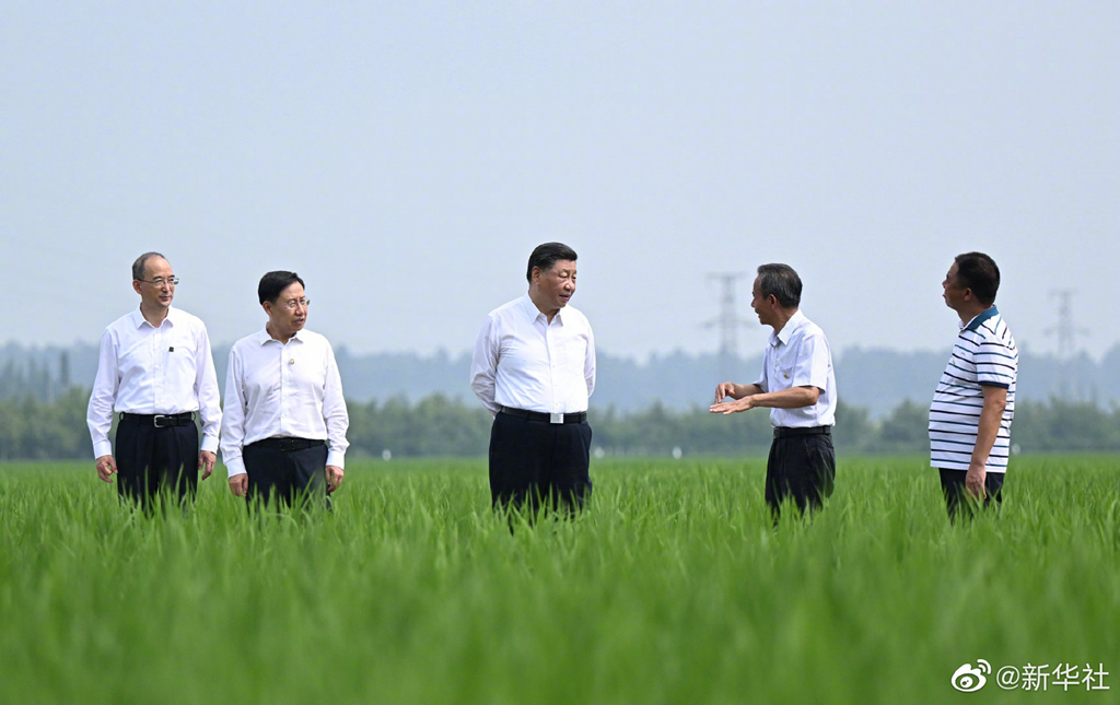 学习习近平总书记关于巨星国际官网发展的重要论说