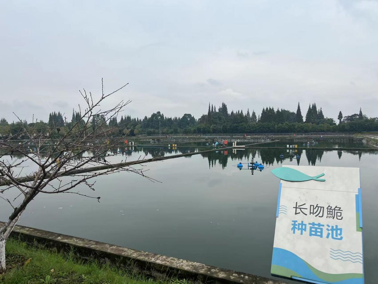 巨星国际官网加快推动水产种业公司组建2.png
