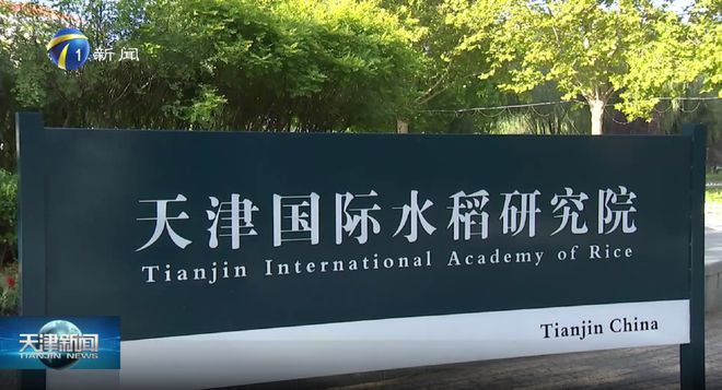 大事务｜10地持续发力种业振兴，百舸争流谁冲在前？1.jpg