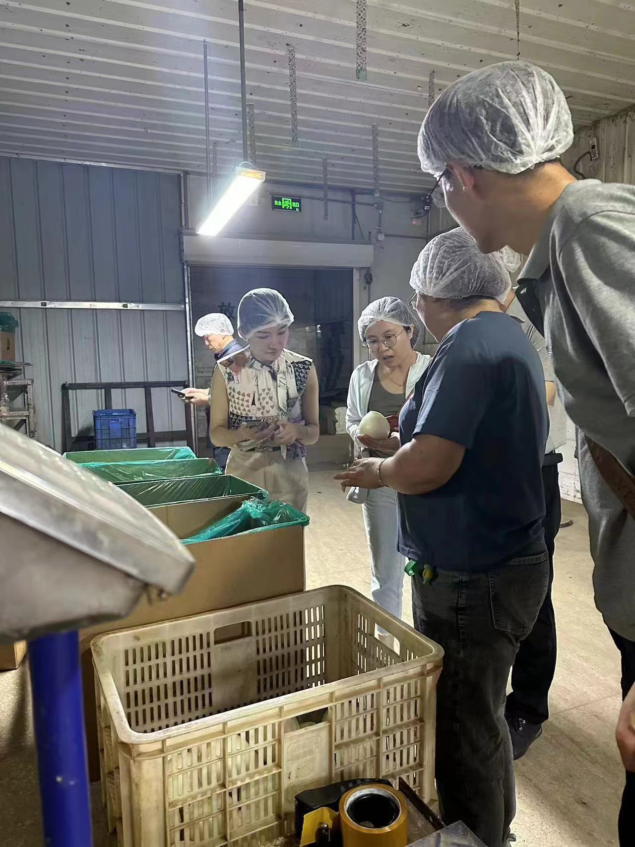 666b99e7b16f6.jpg 科威洋葱种业赴山东发展洋葱加工出口业务调查互换1.jpg
