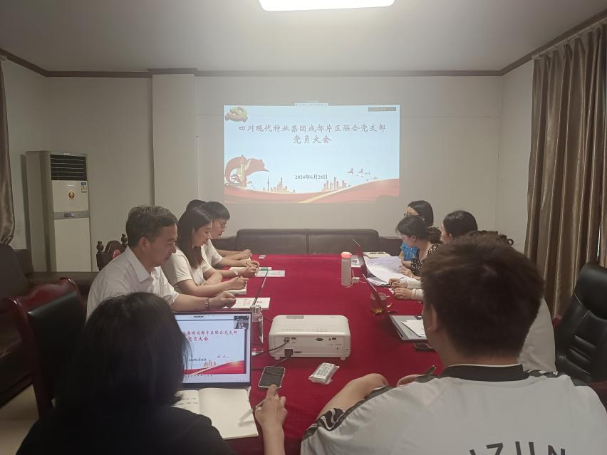2024年6月28日巨星国际官网成都片区结合党支部召开党员大会专题学习贯彻省委十二届五次全会心灵.png