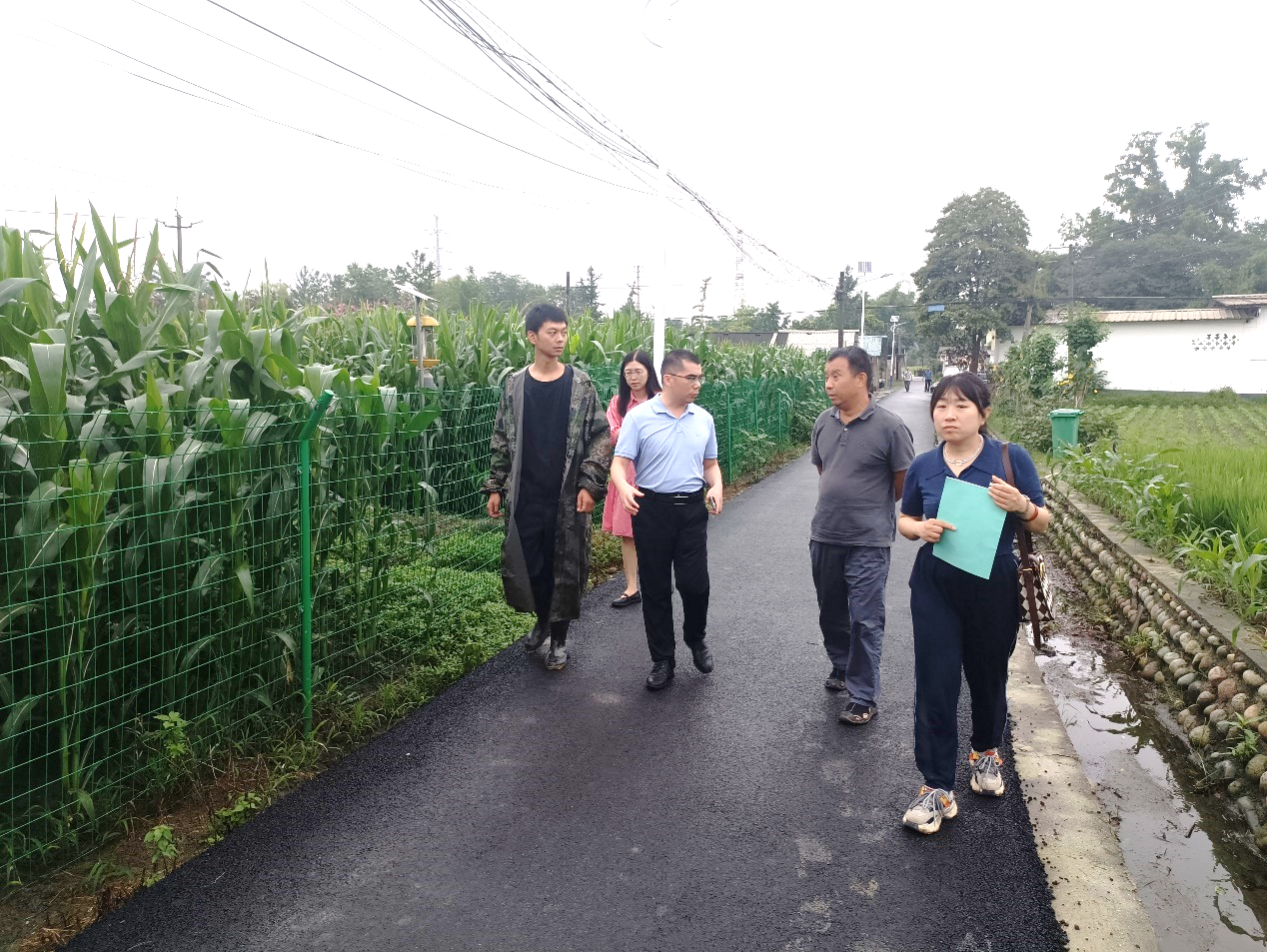 科创中心迎接省农业村落厅玉米生物育种试验基地专项查抄