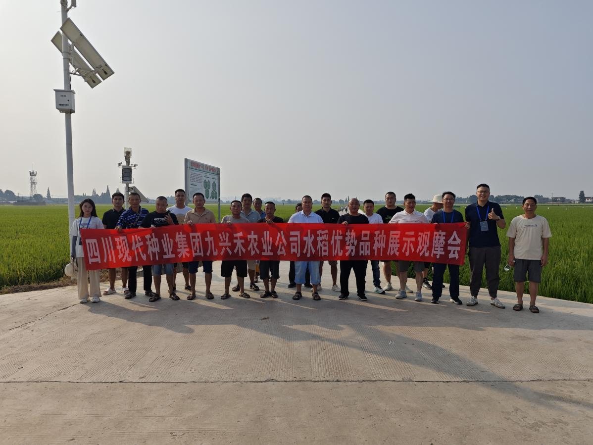 九兴禾农业公司进行“天府粮仓优势水稻种类”现场观摩会