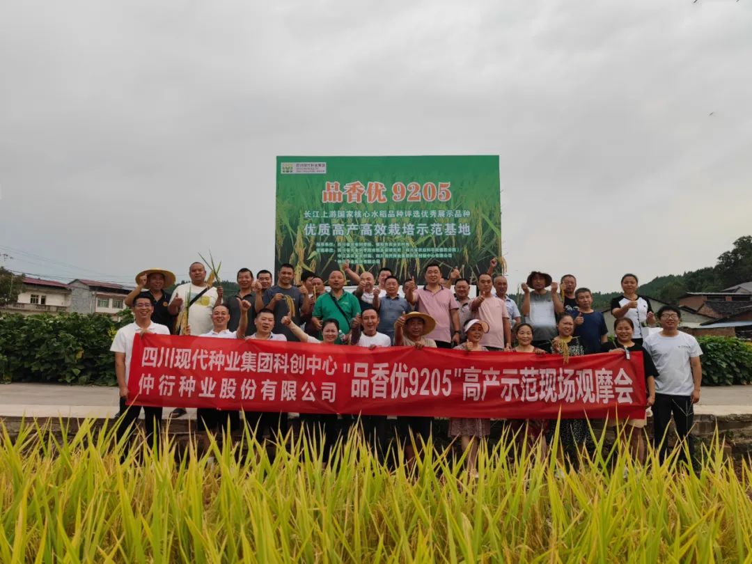 均匀亩产797.7公斤！！！集团水稻种类“品香优9205”高产示范方实收测产