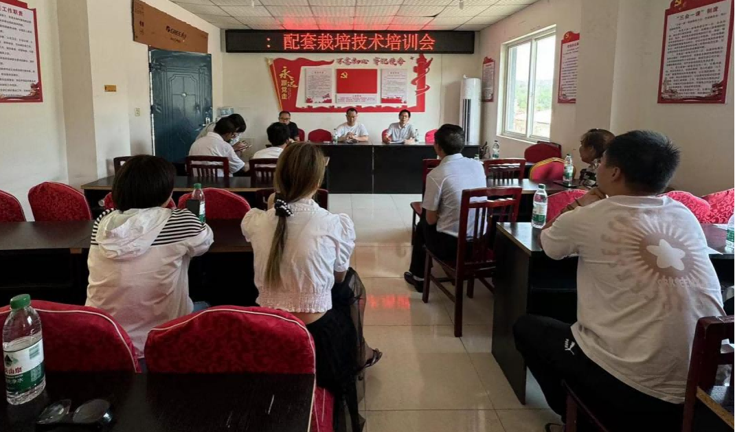 集润公司携手科创中心推动绵阳市三元镇油菜示范基地建设3(1).png