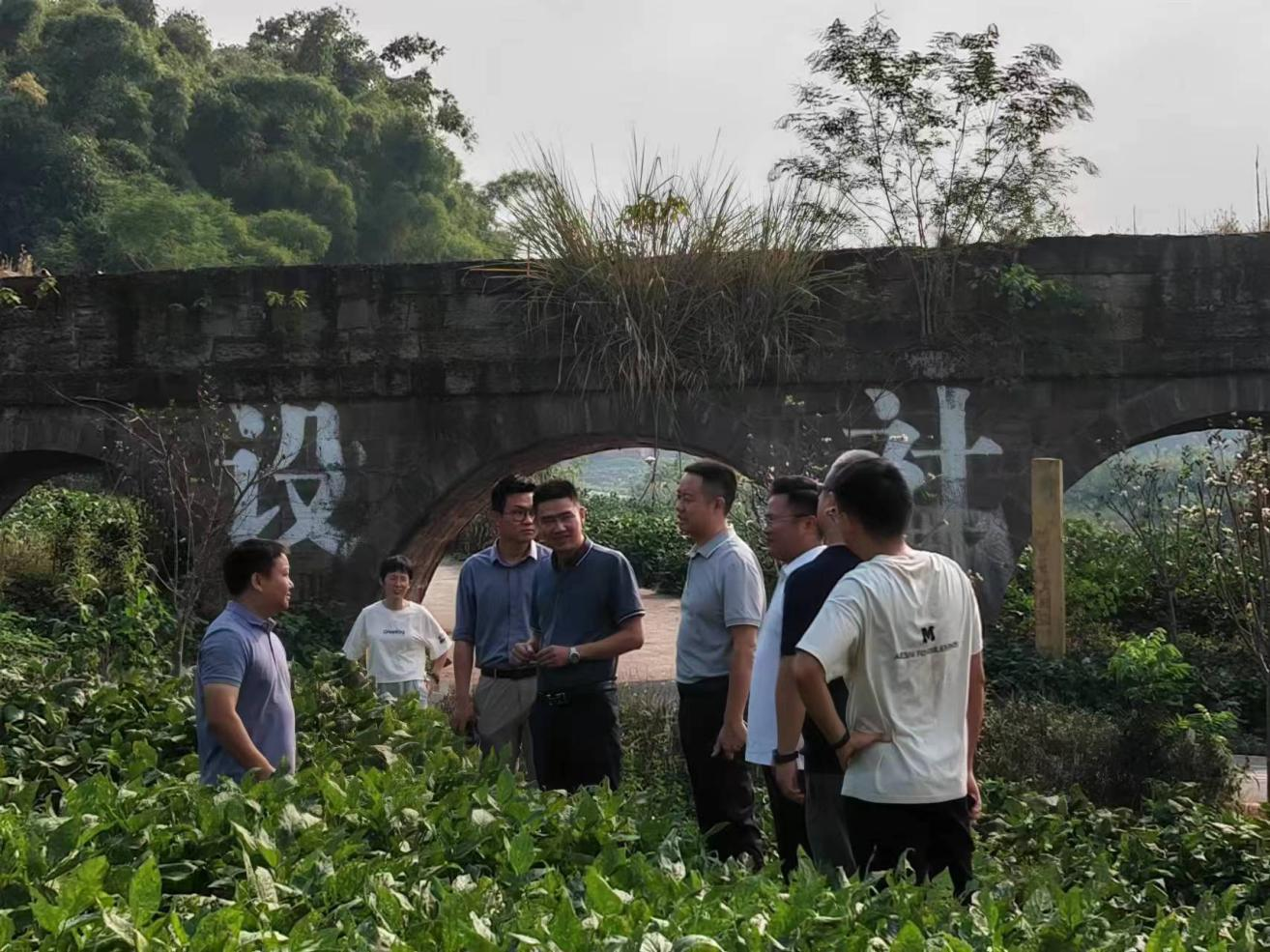 66f8ade511fc9.png 孙先勇一行到种芯农业公司调研领导1.png