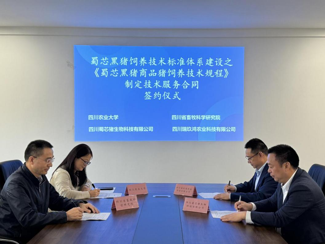 蜀芯猪公司与川农大、省畜科院、瑞玖鸿公司进行签约典礼  共同推动蜀芯黑猪豢养技术尺度系统建设