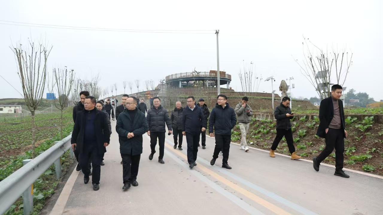 67593c4ca5881.png 自贡市2025年小春粮油出产现场会在种芯农业公司基地召开1.png
