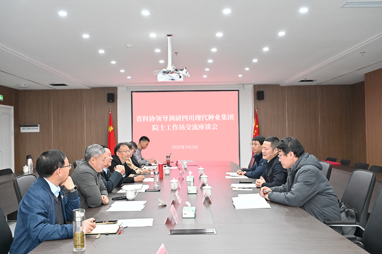 调研座谈会.png