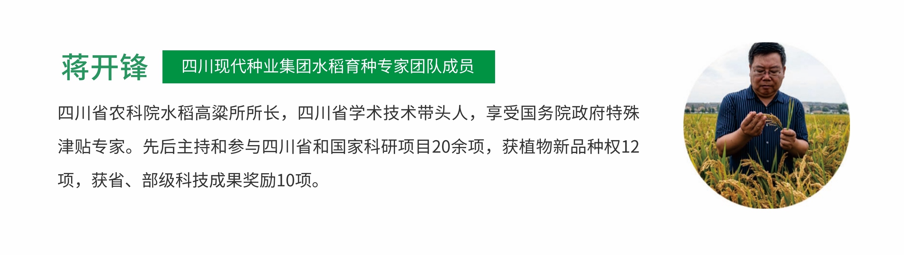水稻专家_蒋.jpg