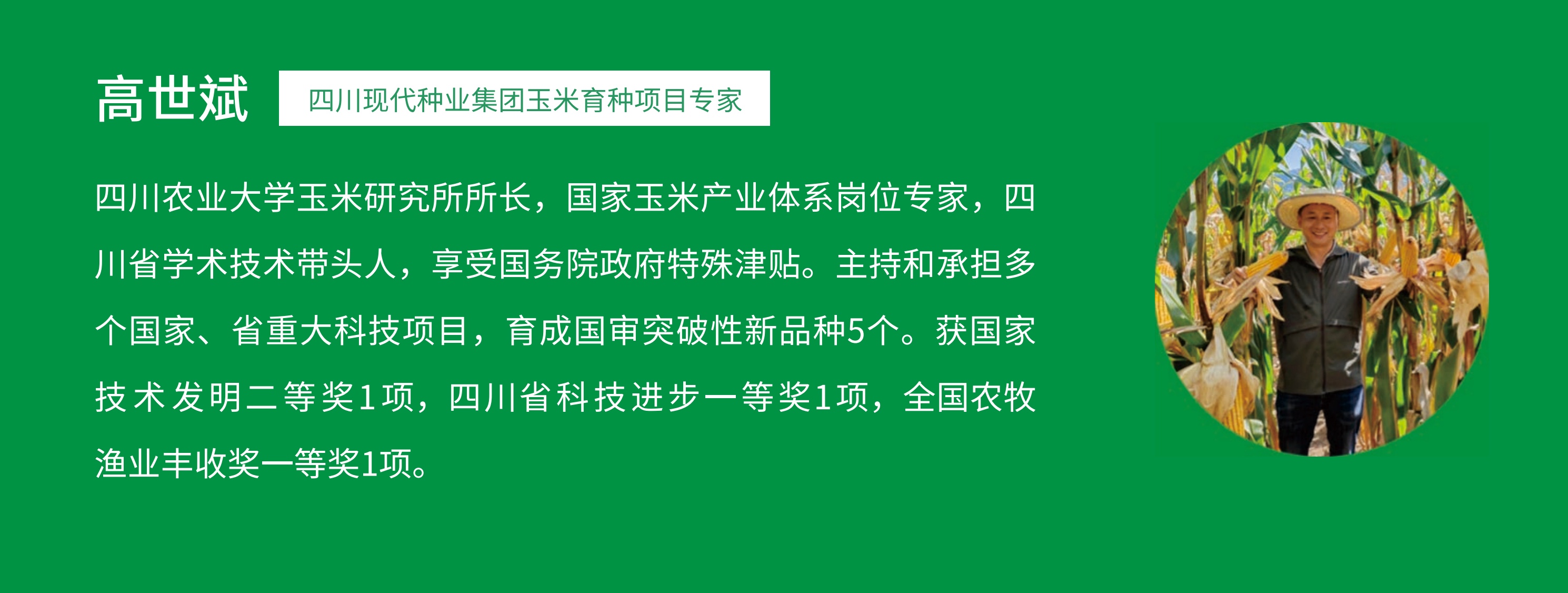 玉米 高.jpg