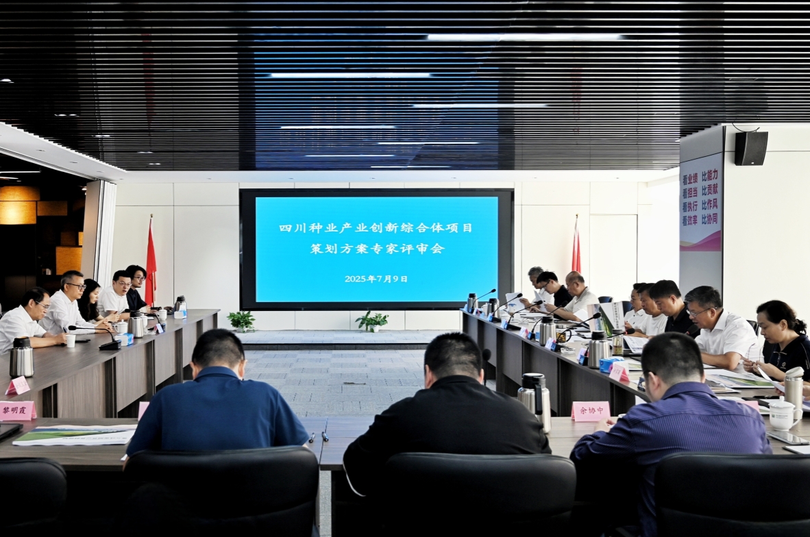 压缩后.png