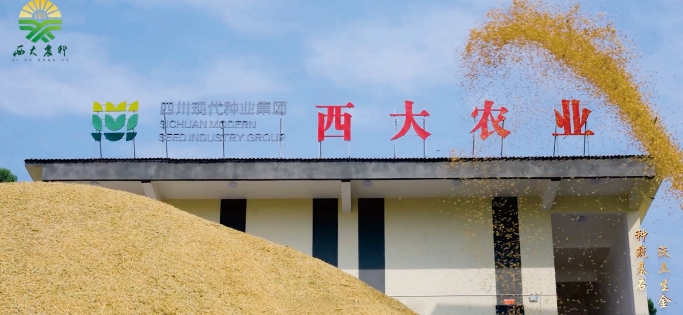 8.11西大简介配图1.png