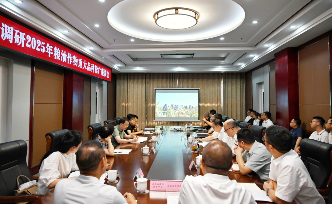 68afb7670c03d.png 产业链发展--就下一步pic2.png