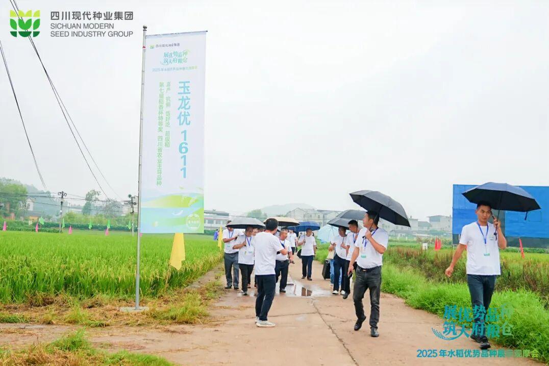 9.6答疑观摩pic1.jpg