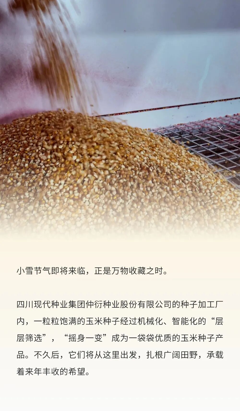仲衍种子加工线挂网pic1.jpg