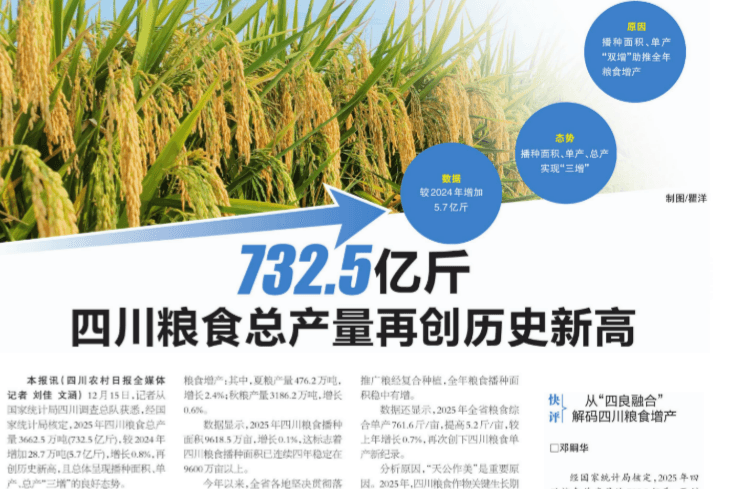 732.5 亿斤！！“天府粮仓” 三连跳背后，四川种业筑牢增产主题密码