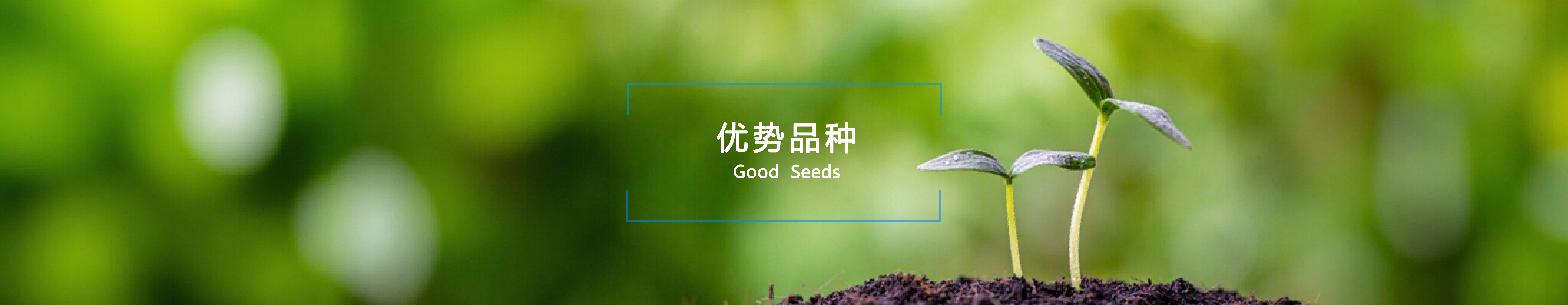 优势种类