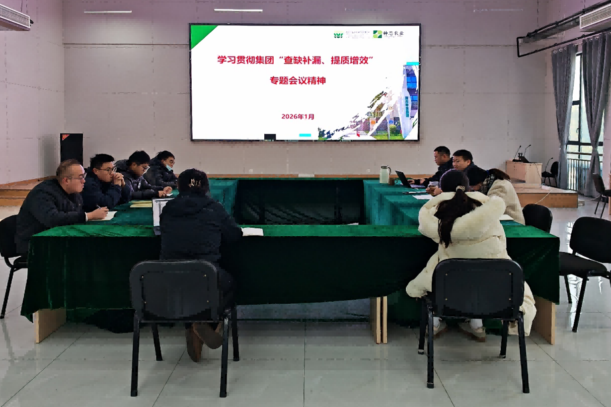 种芯农业公司召开专题会议 学习贯彻集团“查缺补漏、、、提质增效”专题座谈会议心灵